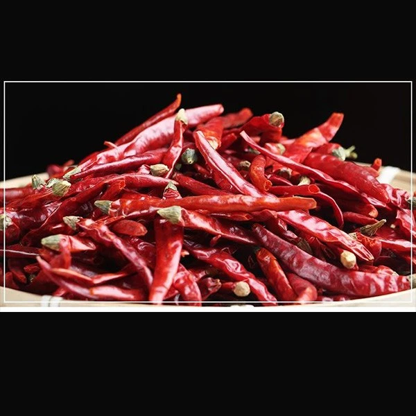 Dry Red Chilli Pepper 2021 factory
