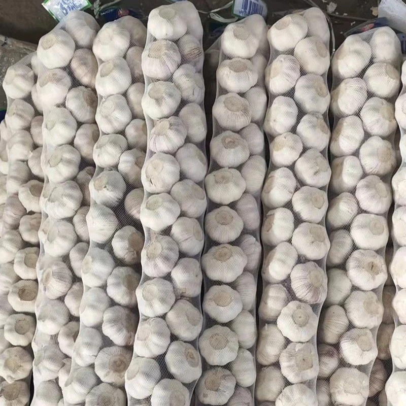 fresh braid garlic